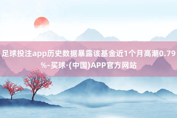 足球投注app历史数据暴露该基金近1个月高潮0.79%-买球·(中国)APP官方网站