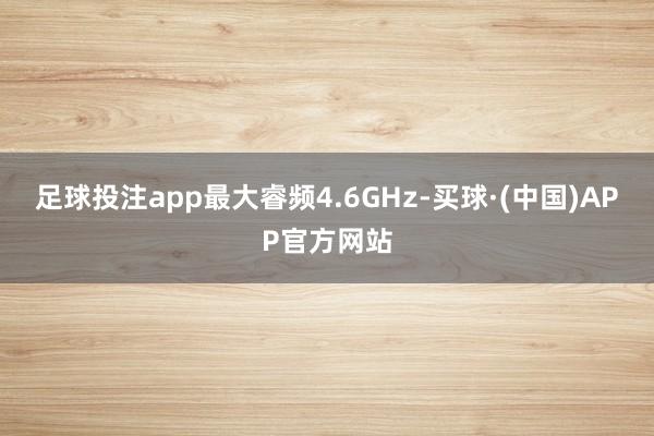 足球投注app最大睿频4.6GHz-买球·(中国)APP官方网站