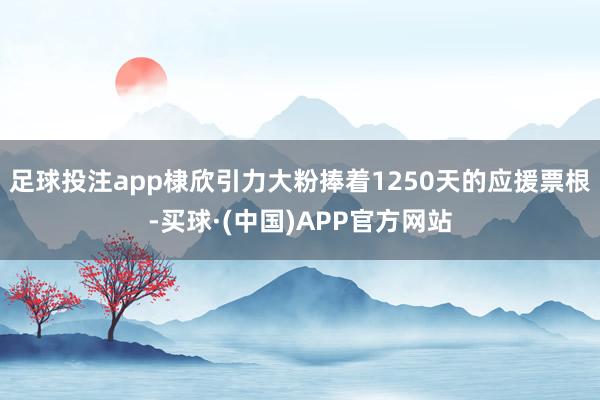 足球投注app棣欣引力大粉捧着1250天的应援票根-买球·(中国)APP官方网站