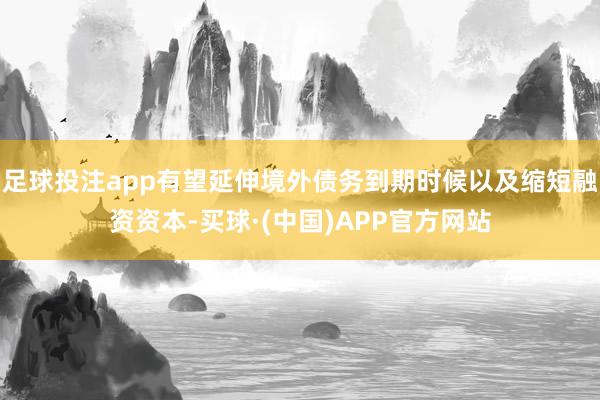 足球投注app有望延伸境外债务到期时候以及缩短融资资本-买球·(中国)APP官方网站