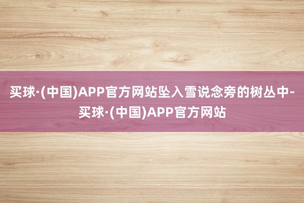 买球·(中国)APP官方网站坠入雪说念旁的树丛中-买球·(中国)APP官方网站