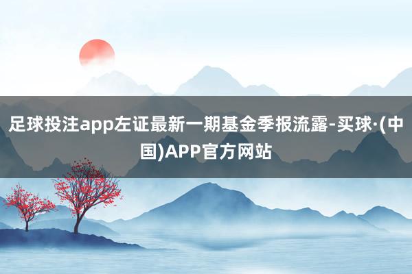 足球投注app左证最新一期基金季报流露-买球·(中国)APP官方网站