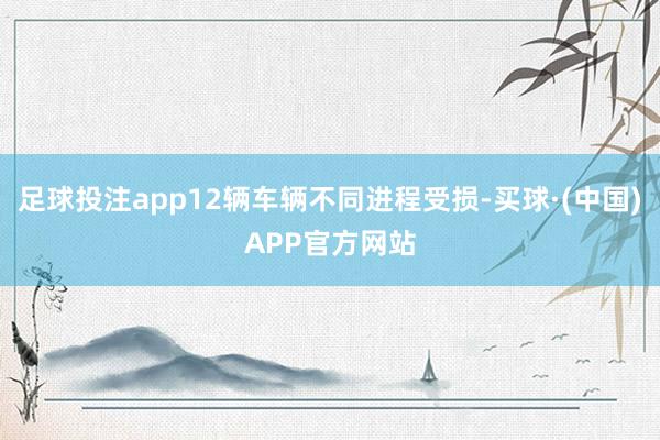 足球投注app12辆车辆不同进程受损-买球·(中国)APP官方网站