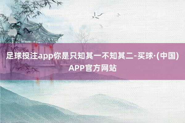 足球投注app你是只知其一不知其二-买球·(中国)APP官方网站